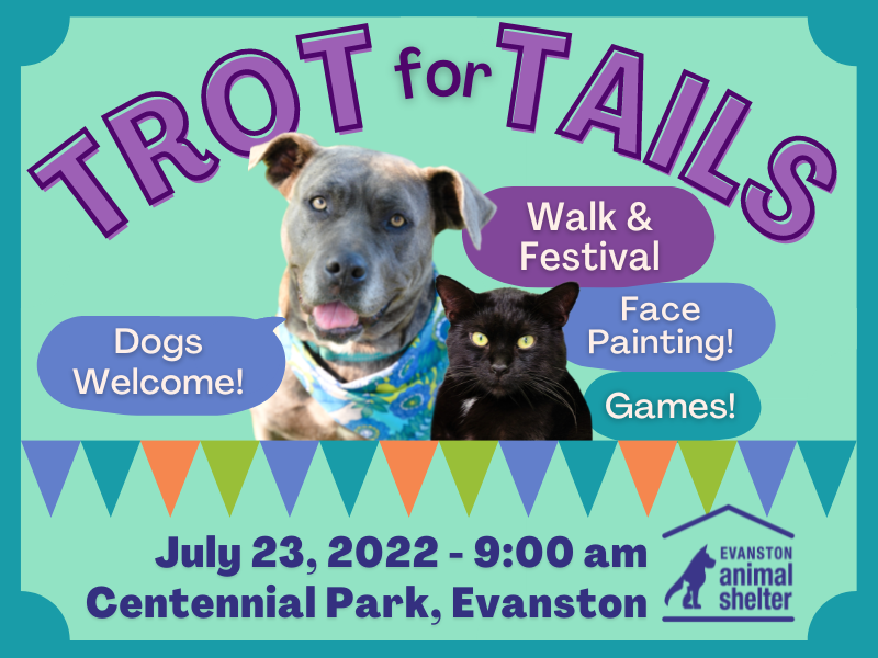 Evanston Animal Shelter The Official Website of the Evanston Animal