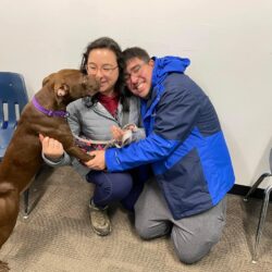 man and woman playing with brown puppy