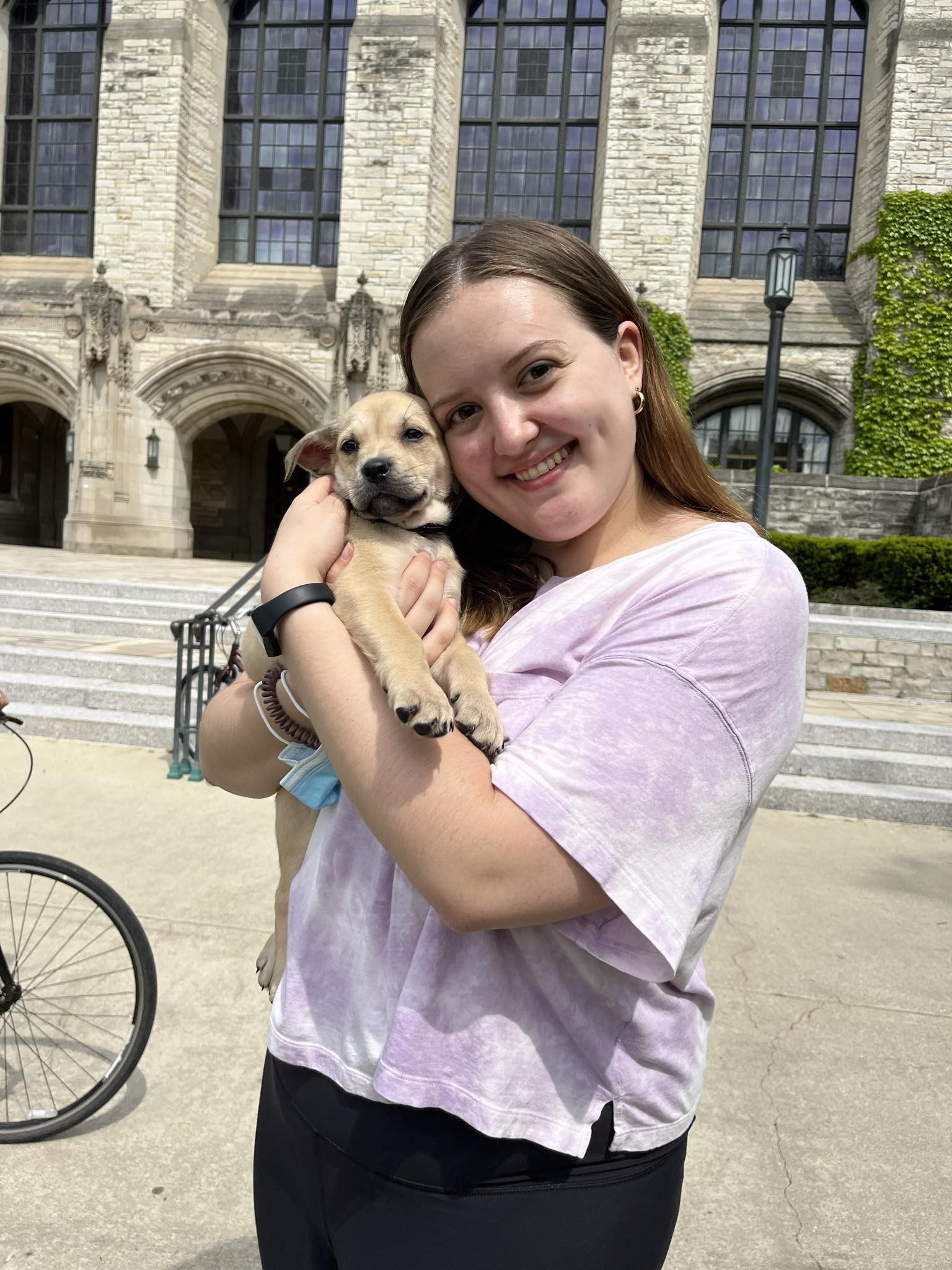 woman in pink shirt holding brown puppy
