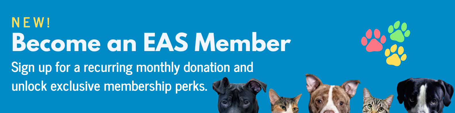 Become an EAS Member!